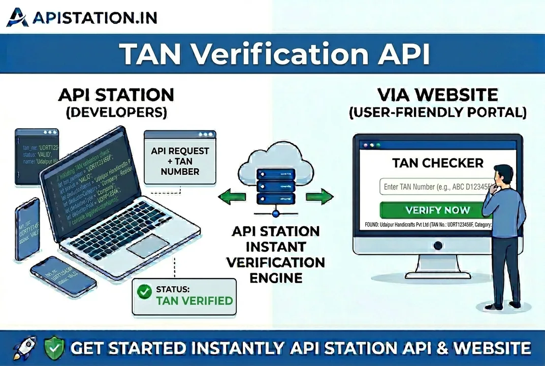 TAN COMPANY SEARCH API