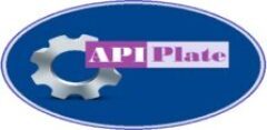 API Plate, Software Development, API Services Provider